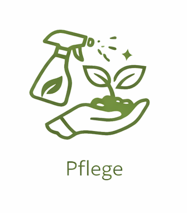 bildschirmfoto 2026 02 19 um 22.00.07