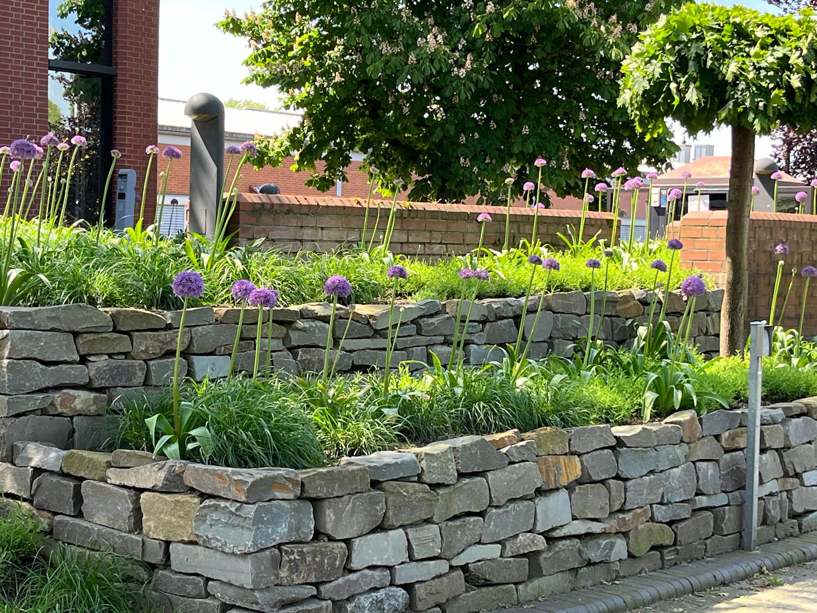 Außenanlagen photo 2026 01 13 13 39 17 2